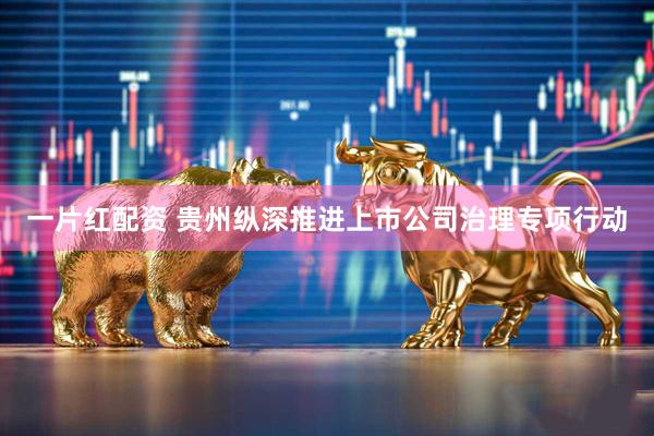 一片红配资 贵州纵深推进上市公司治理专项行动